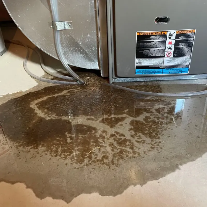 Pipe Burst and Leak Restoration in Kenwood, OH